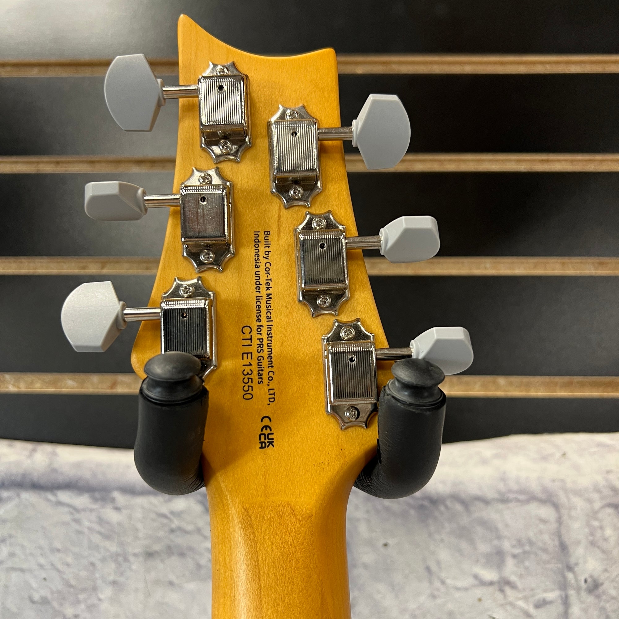 PRS Paul Reed Smith SE Silver Sky Ever Green