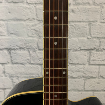 Ibanez AEG10E Concert Acoustic