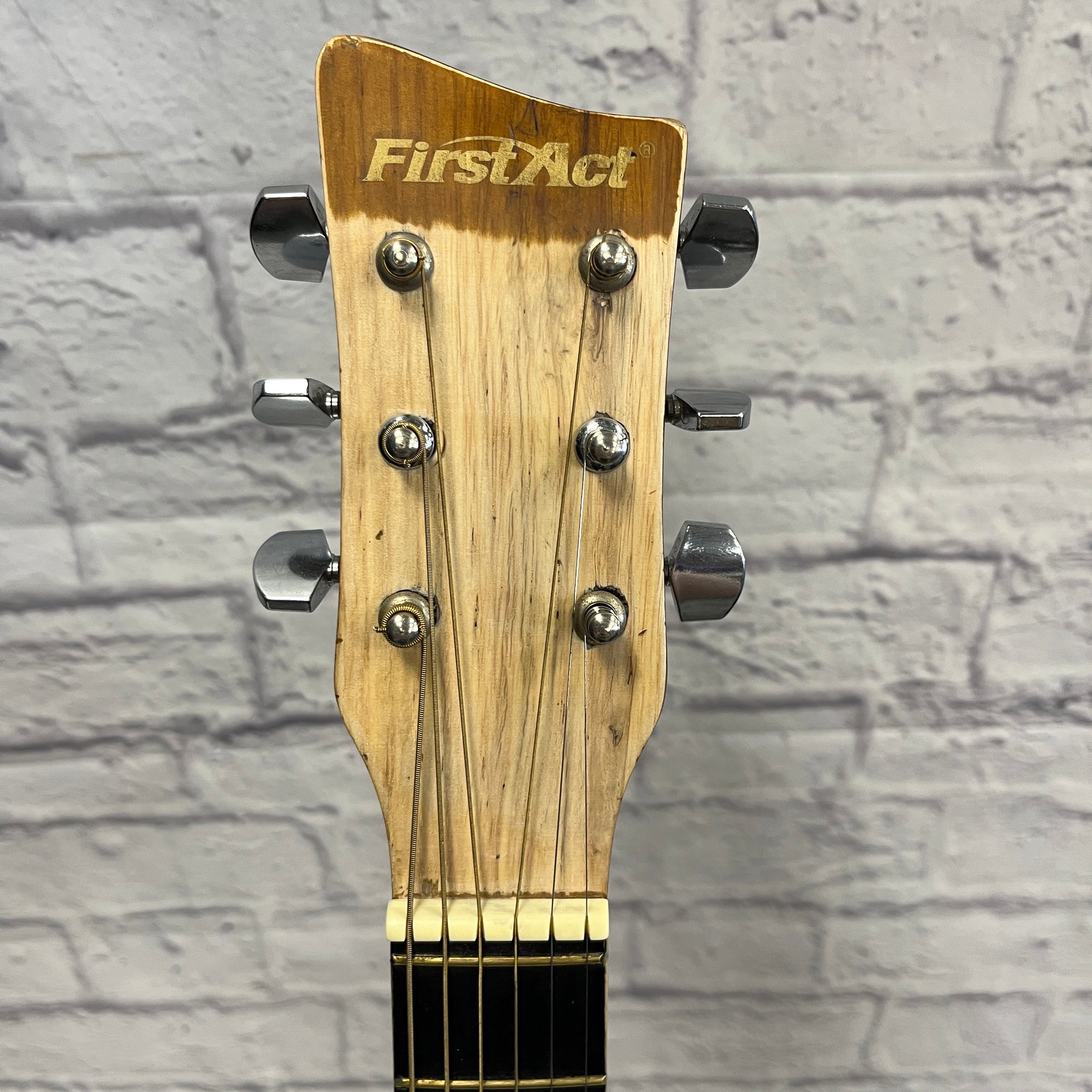 ACCENTUS Music C Major EuroArts 2017カタログ First Act MSG-36 ACOUSTIC GUITAR - Evolution Music