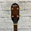 Telestar 5 String Tenor  Banjo Project with Case