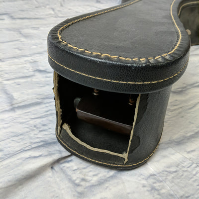 Global Acoustic Double Pickguard