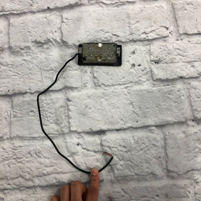 Rio Grande 2006 BBQ Humbucker