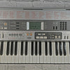 Casio LK-55 61-Key Electronic Keyboard