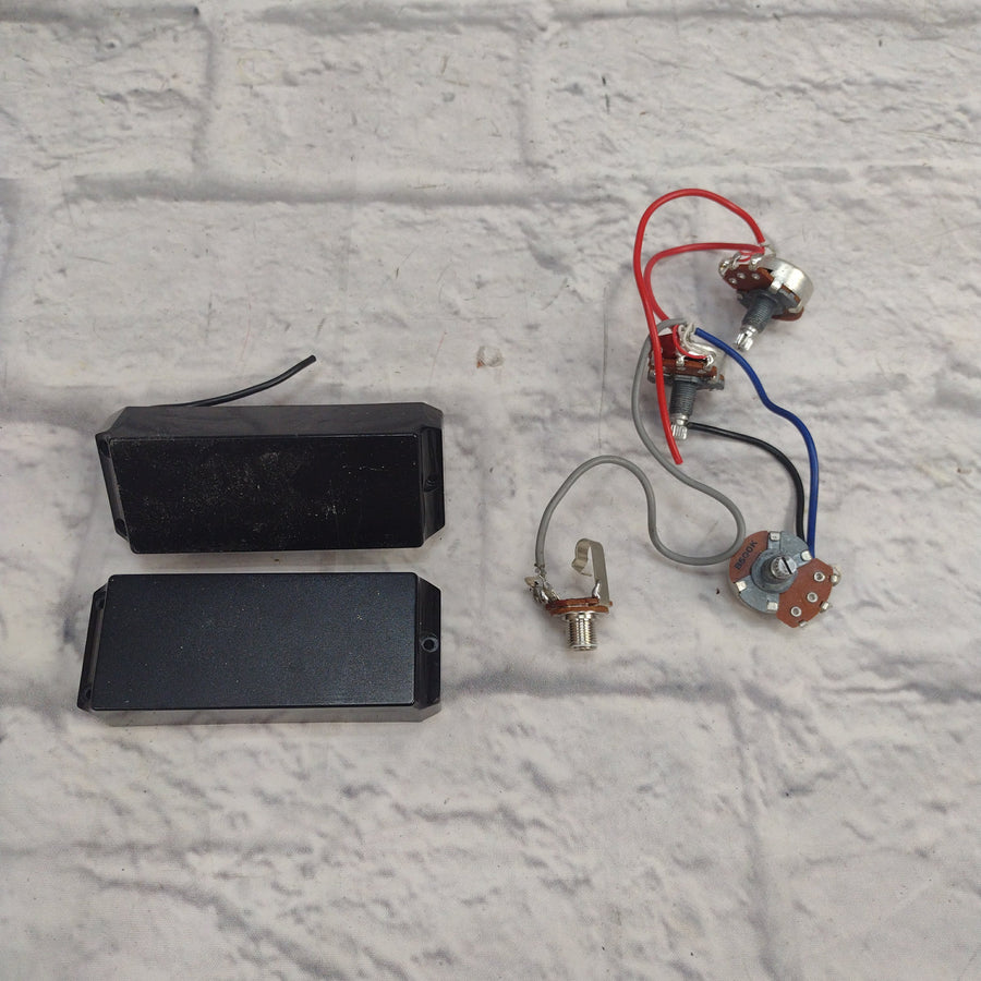 Epiphone Thunderbird Bass Pickup Set with Harness