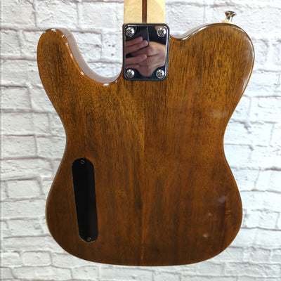 Gatto Custom Guitars Tele Electric Guitar Trans Black