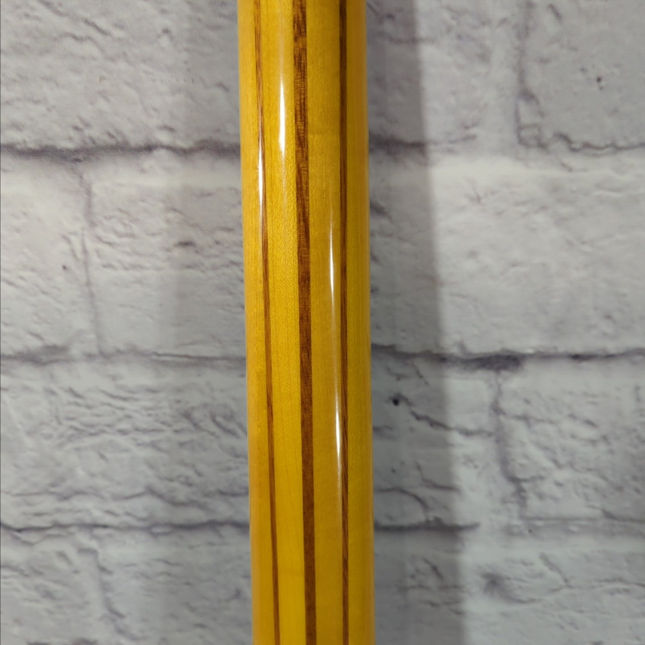 Washburn AB-40 Acoustic Bass w/ Case