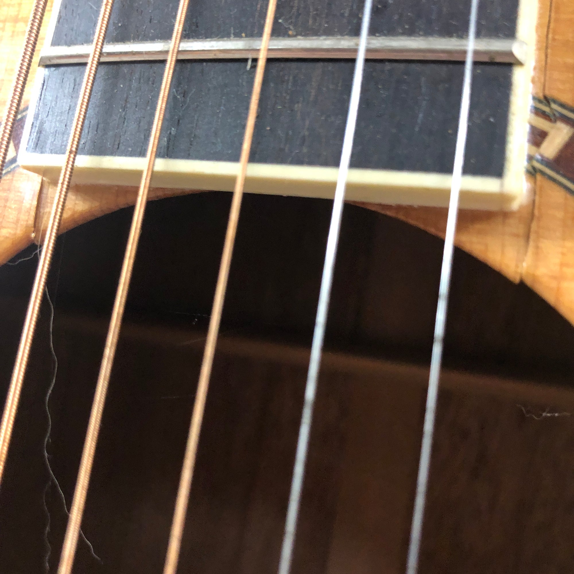 Washburn WD10 Acoustic Guitar