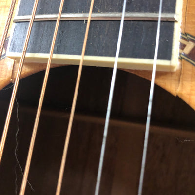 Washburn WD10 Acoustic Guitar