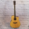 Breedlove Solo Dreadnought Acoustic Guitar with Case - New Old Stock!