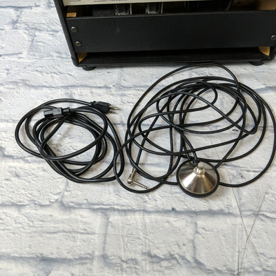 Zinky Thorn amp head Guitar Amp Head
