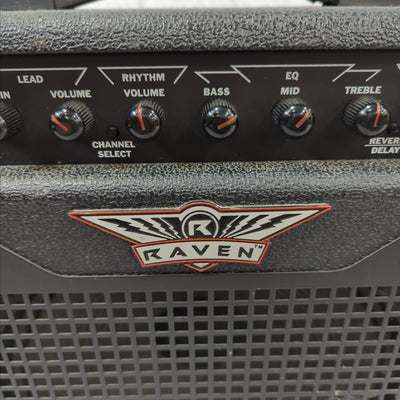 Raven RG20 Combo Amp AS IS