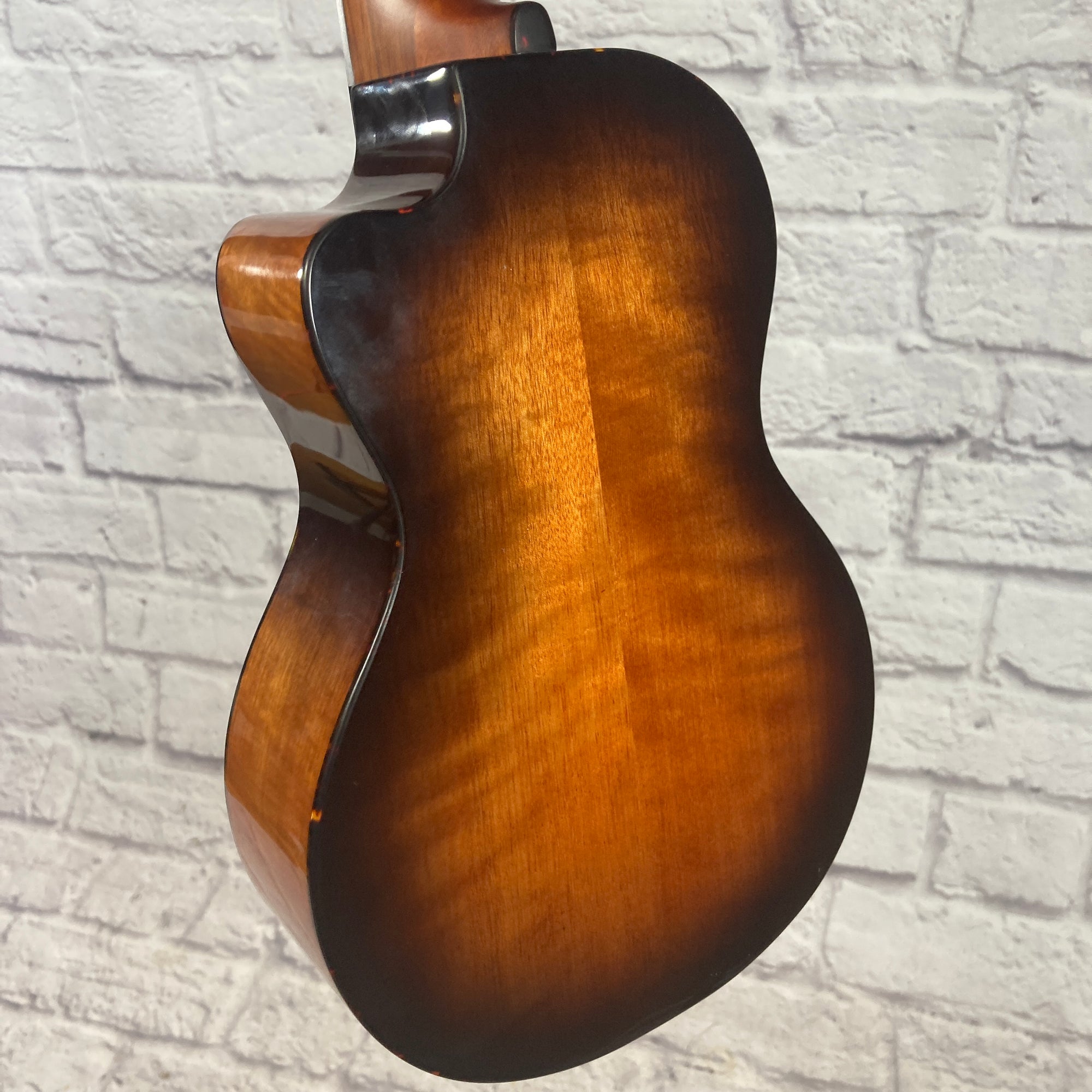 Breedlove Pursuit Ex CU CE BO