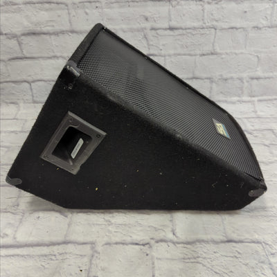 Seismic Audio SA12MT Stage Monitor Wedge