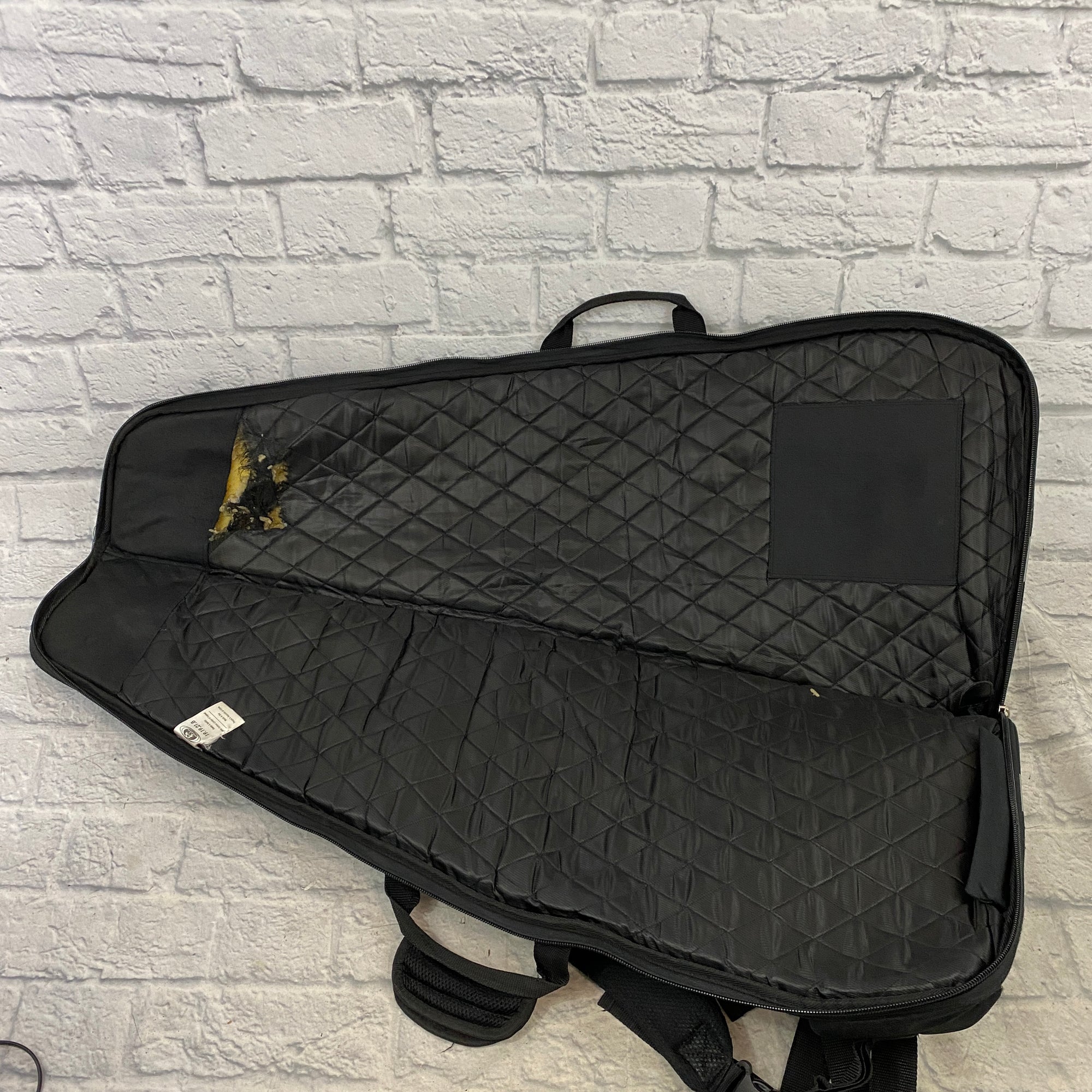 Ritter Electric Gig Bag