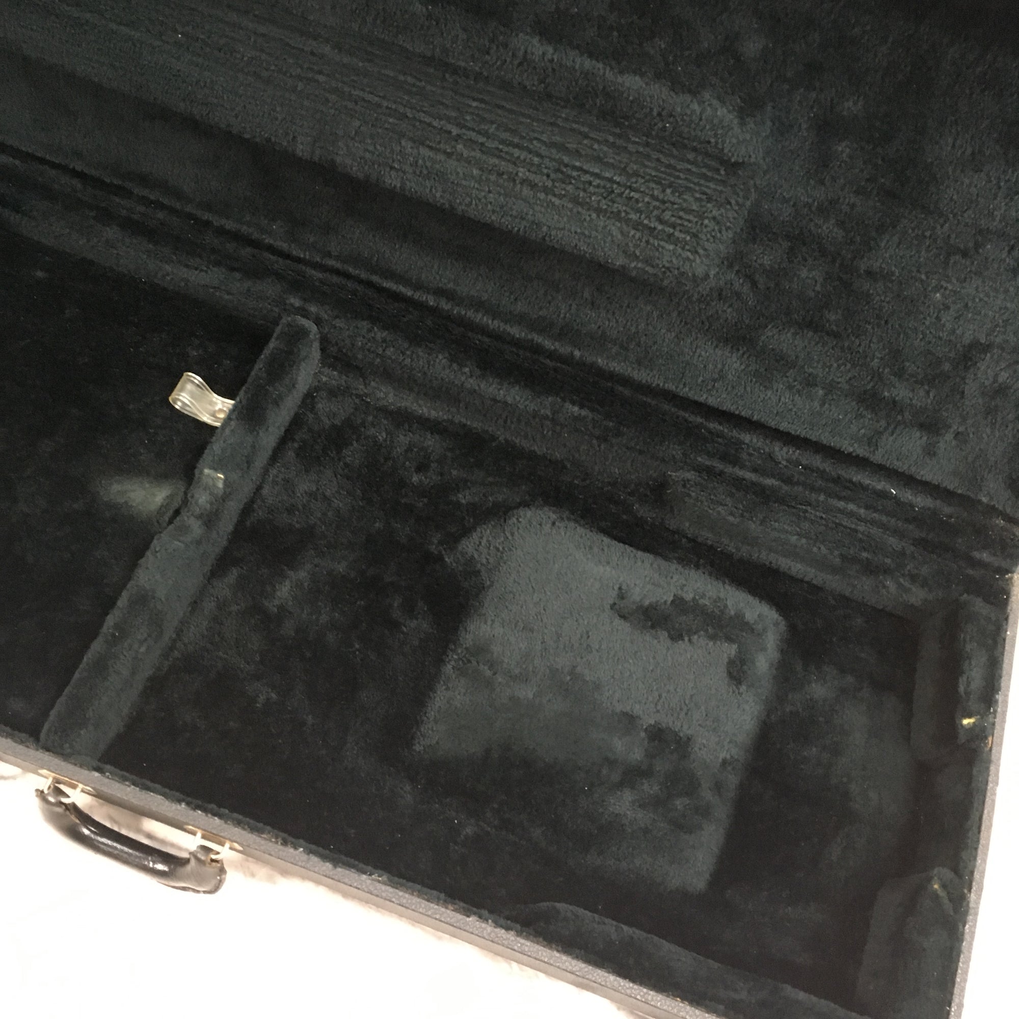 Unknown Hard Shell Bass Case