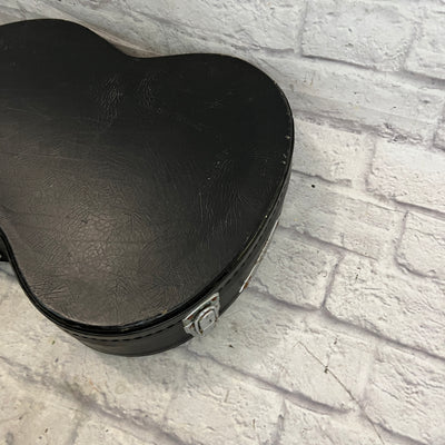 Unknown SG Hard Case
