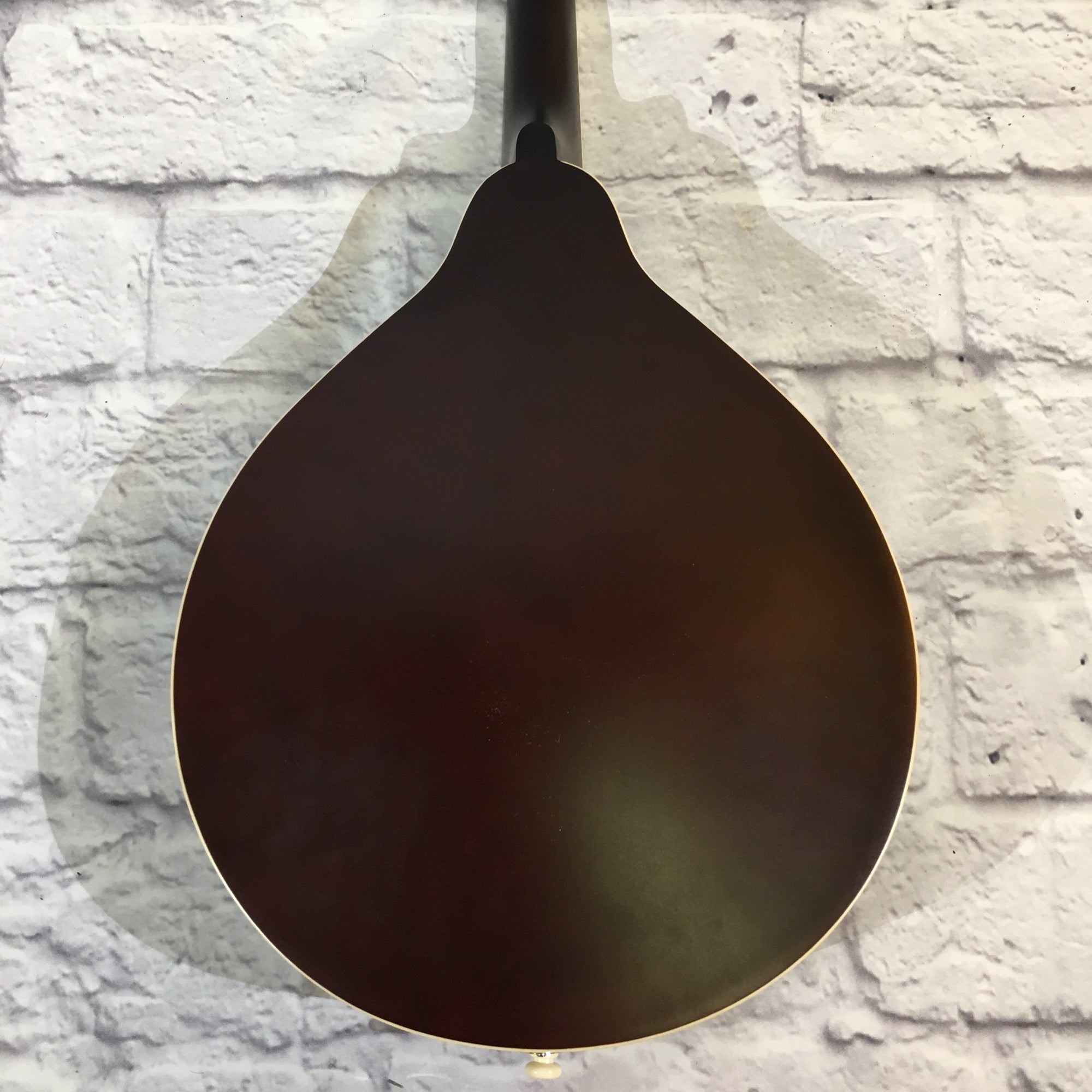 Recording King Century33 Limited Edition RAC-9-TS Mandolin