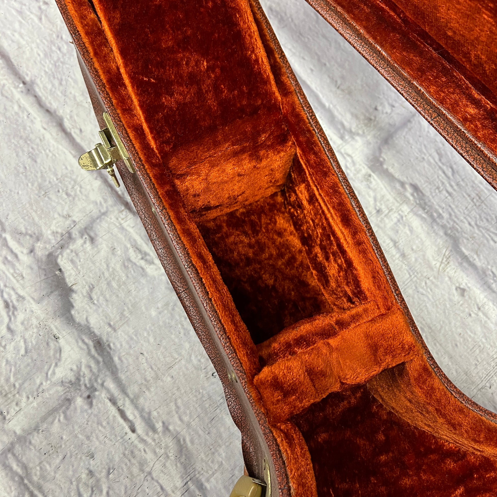 Alvarez Acoustic Guitar Hard Case