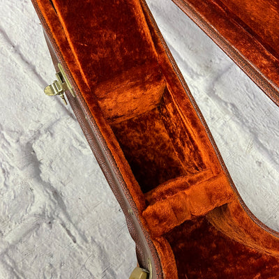 Alvarez Acoustic Guitar Hard Case