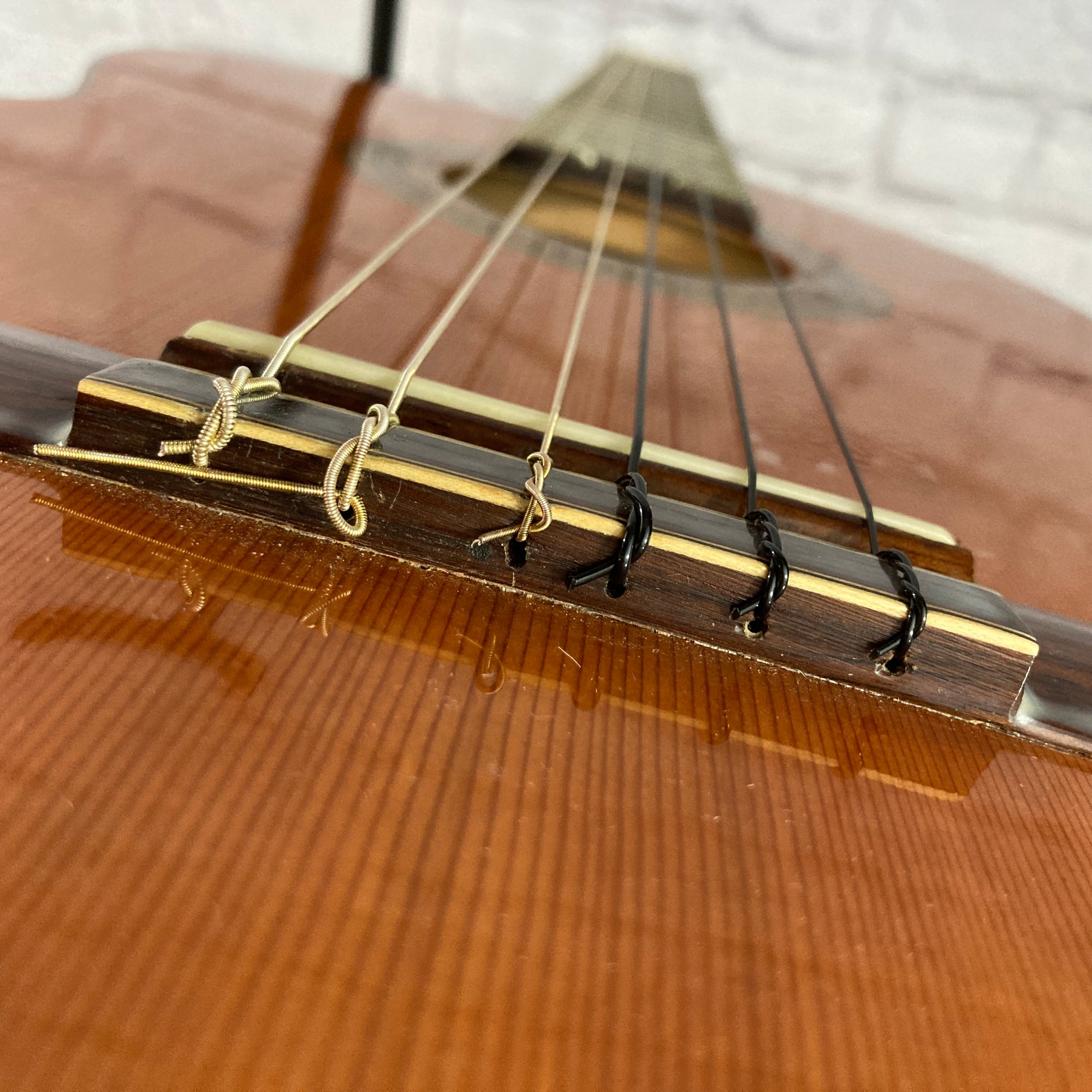 Pavan TP-10 Classical Acoustic Guitar