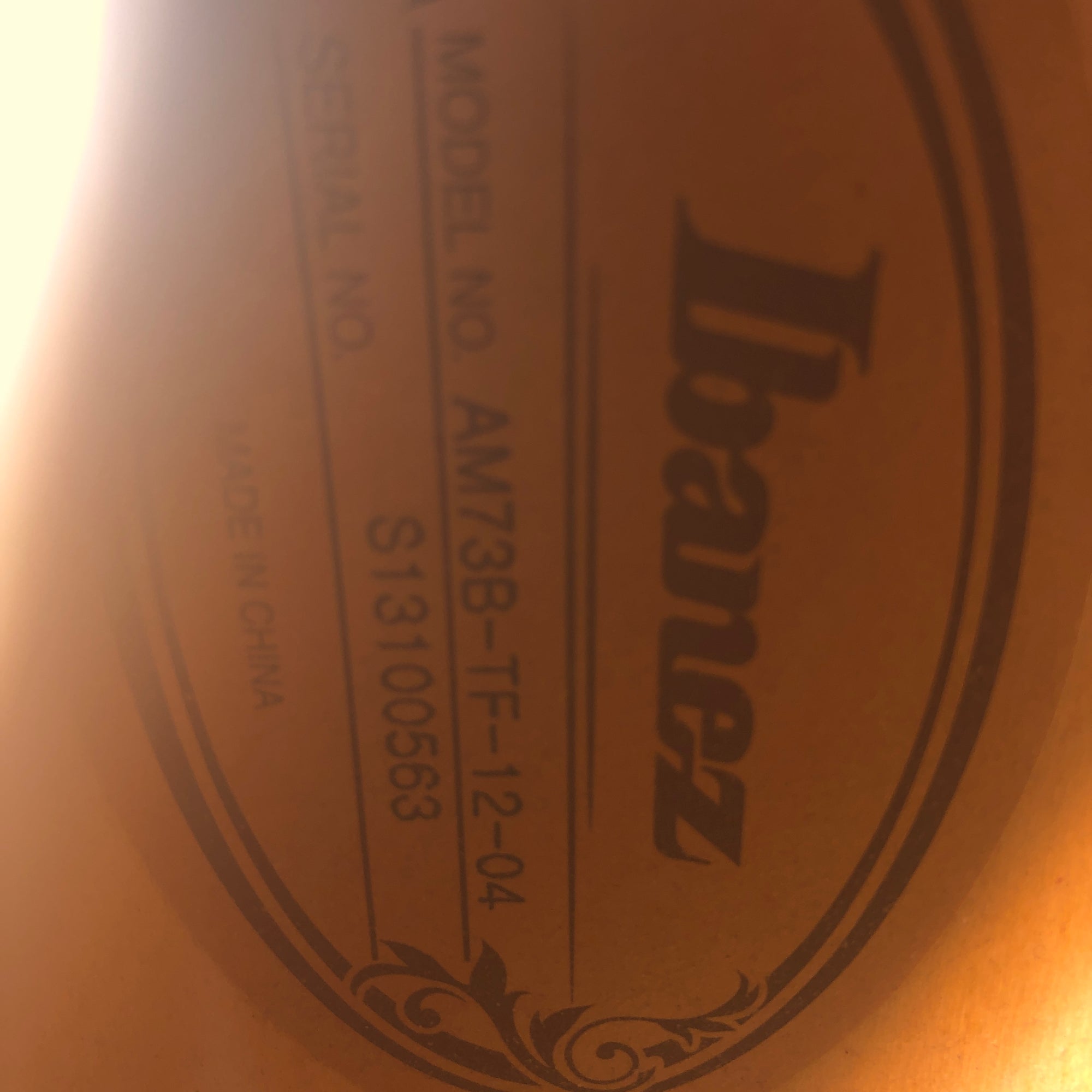 Ibanez AM73B Semi Hollow