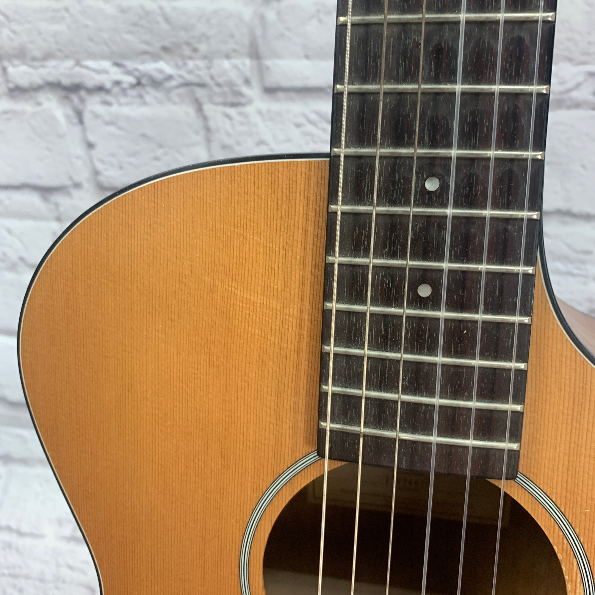 Breedlove Passport N250/Coe Acoustic