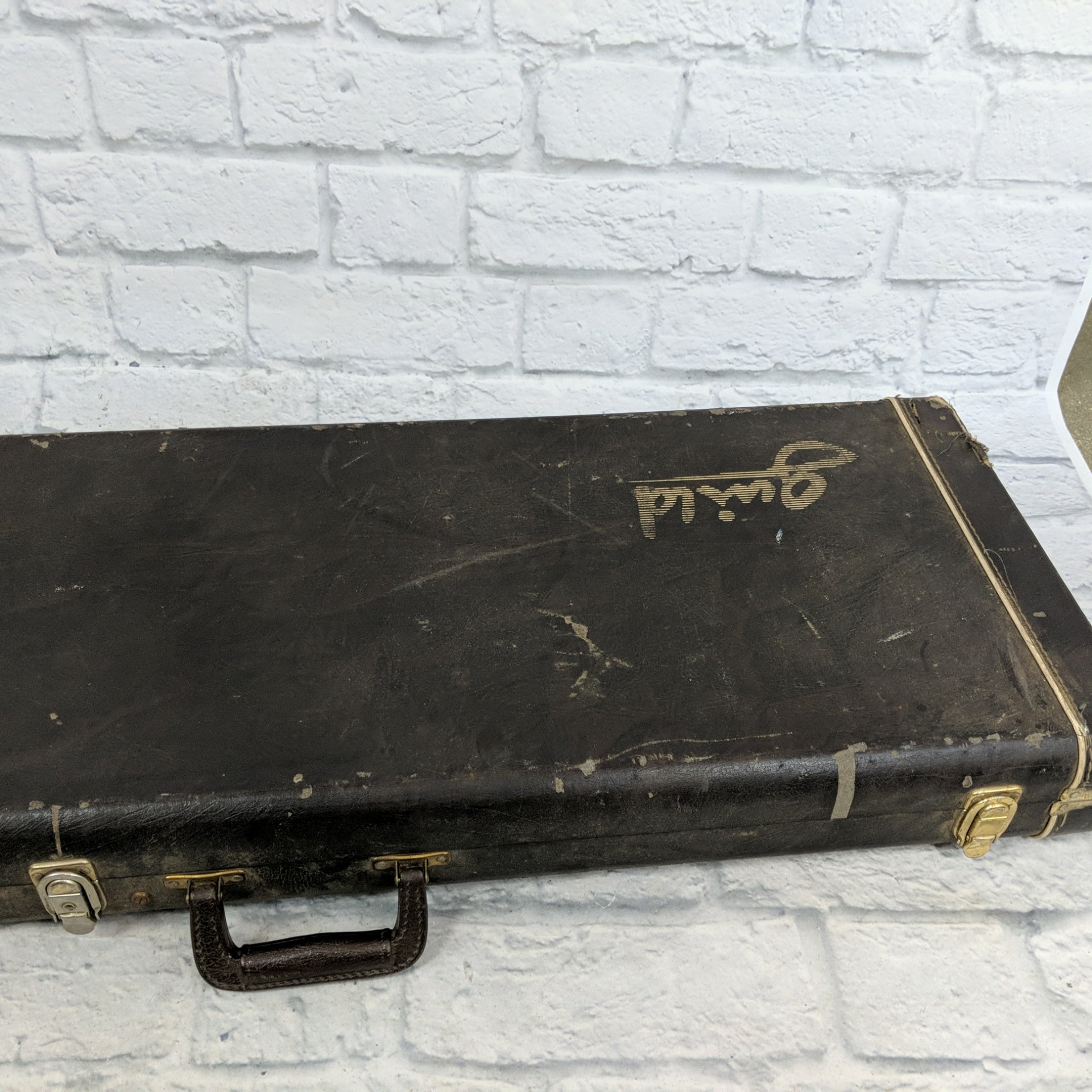 Vintage Guild Hardshell Bass Case