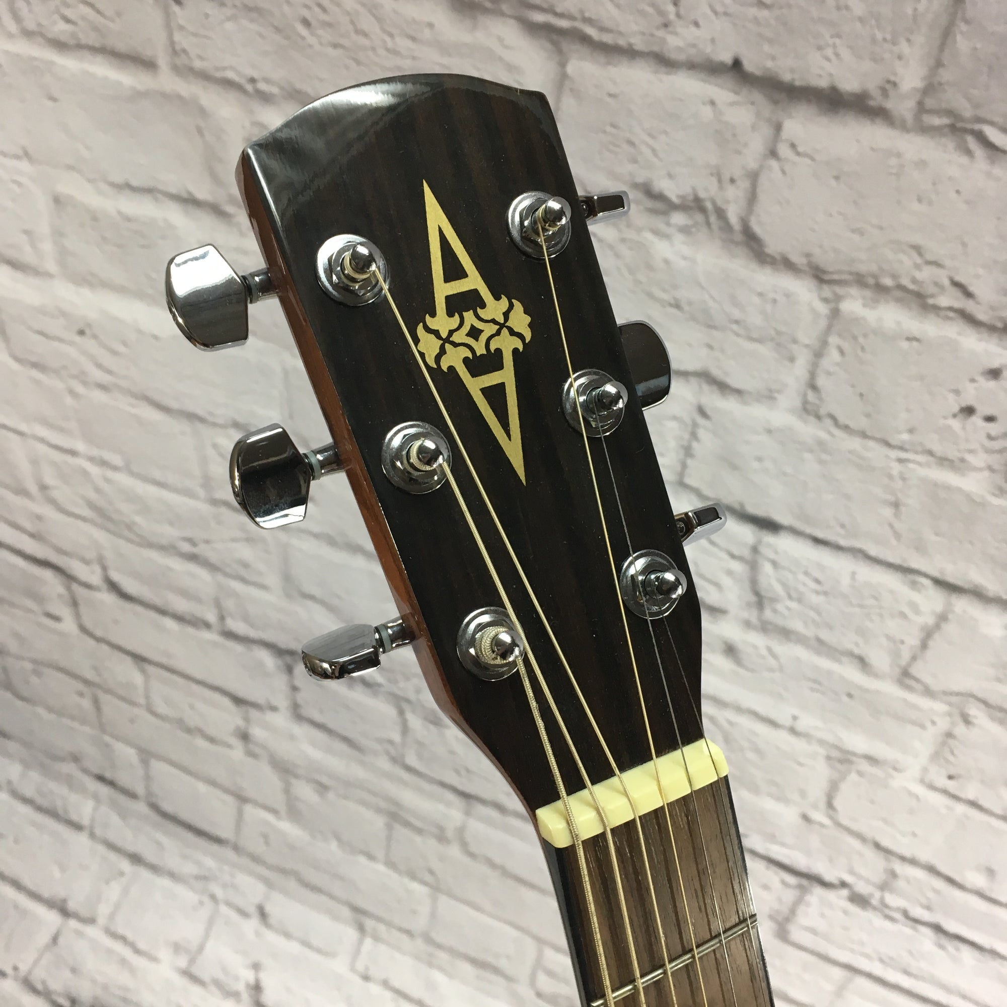 Alvarez RD-9VP Acoustic Guitar with Soft Case
