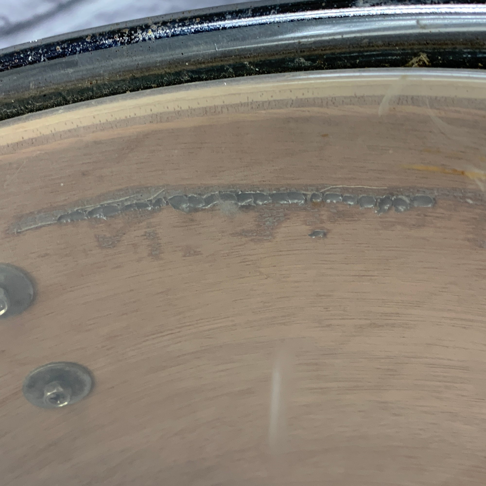 Pearl Export Series 14" Floor Tom