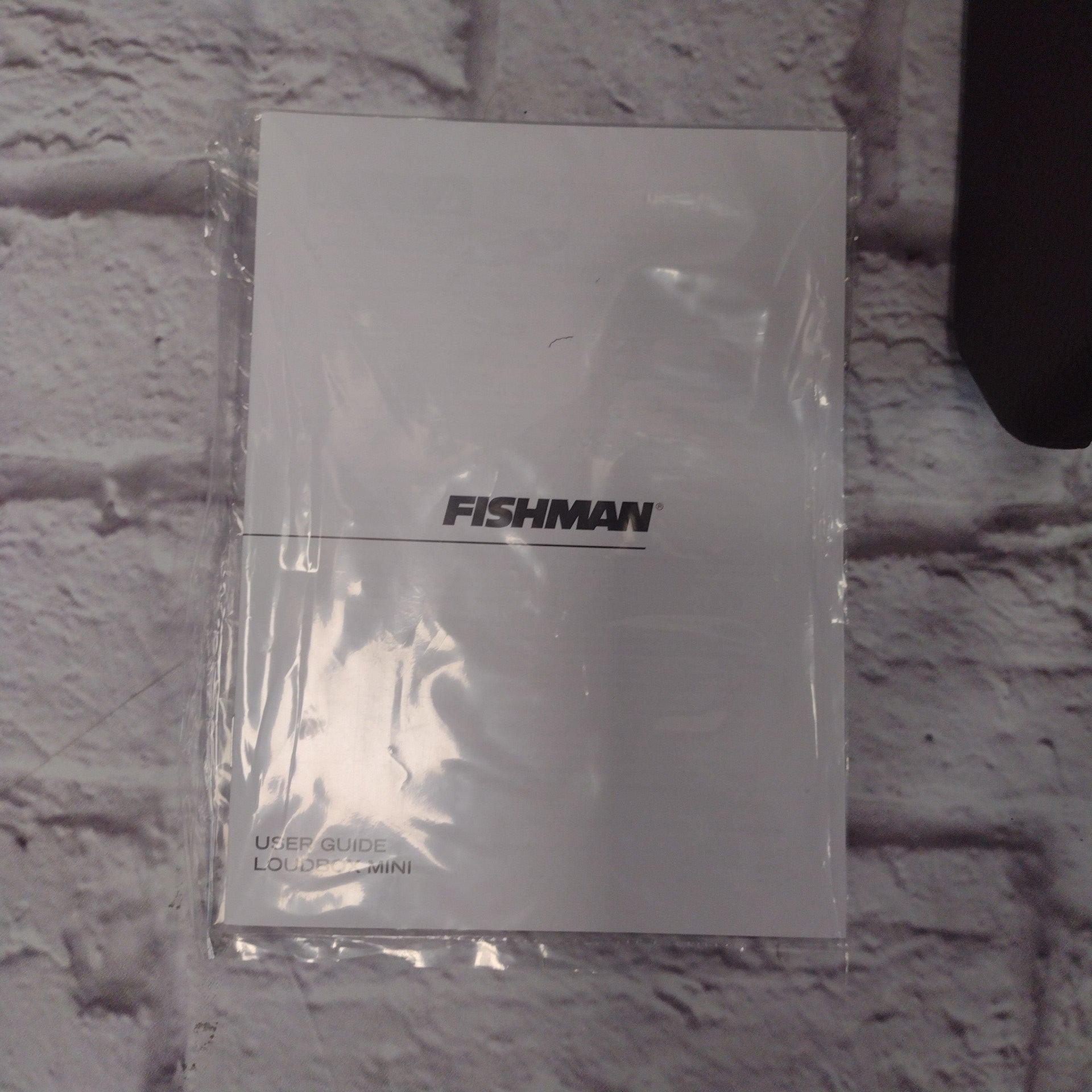 Fishman Mini Loudbox Acoustic Guitar Combo Amp