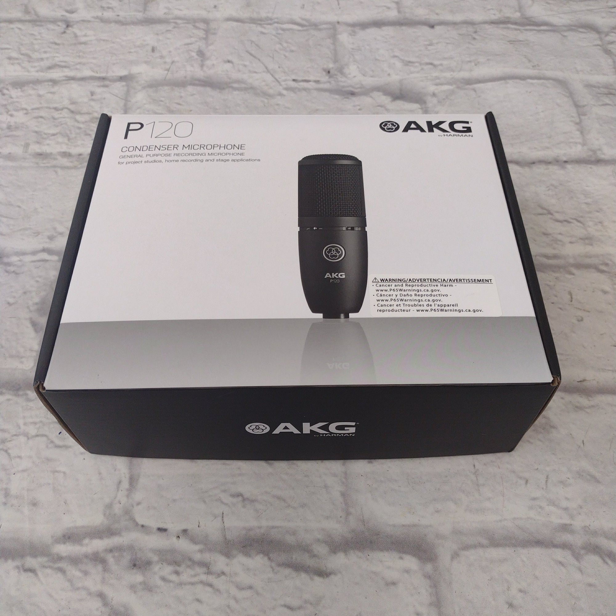 AKG P120 Condenser Microphone - Evolution Music