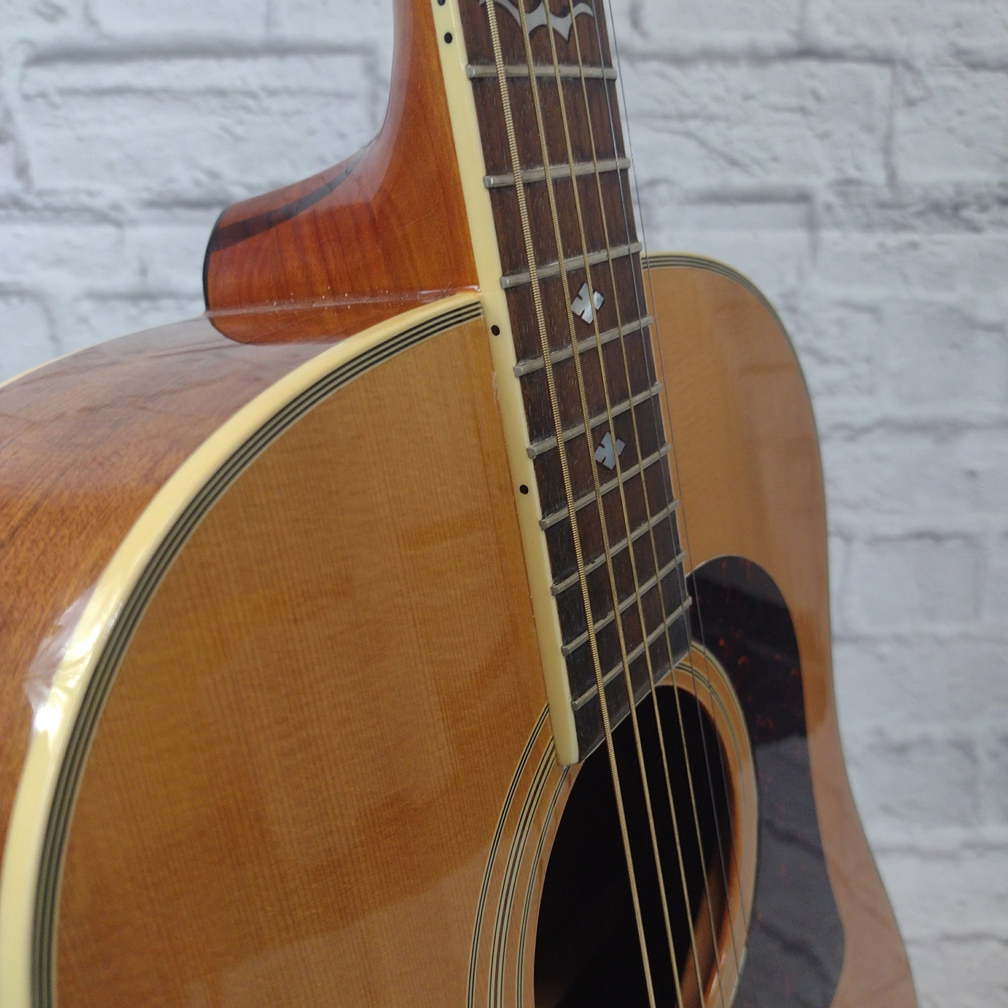 Washburn D25SN Acoustic Guitar