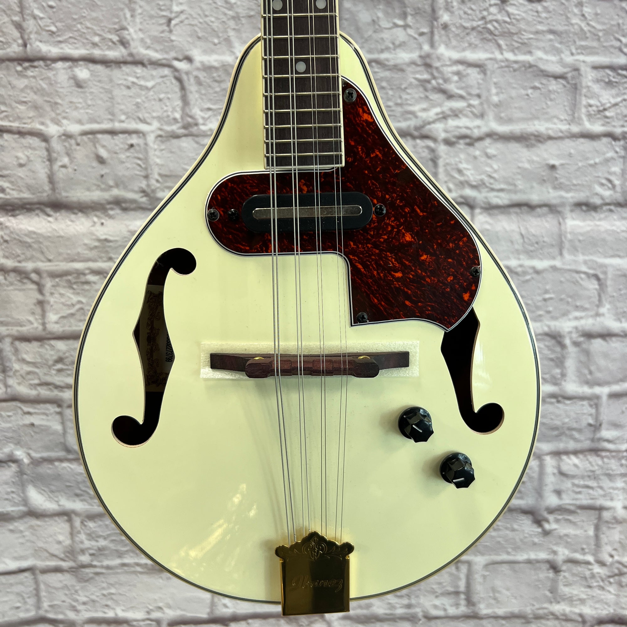 Ibanez M510EG-IV Mandolin