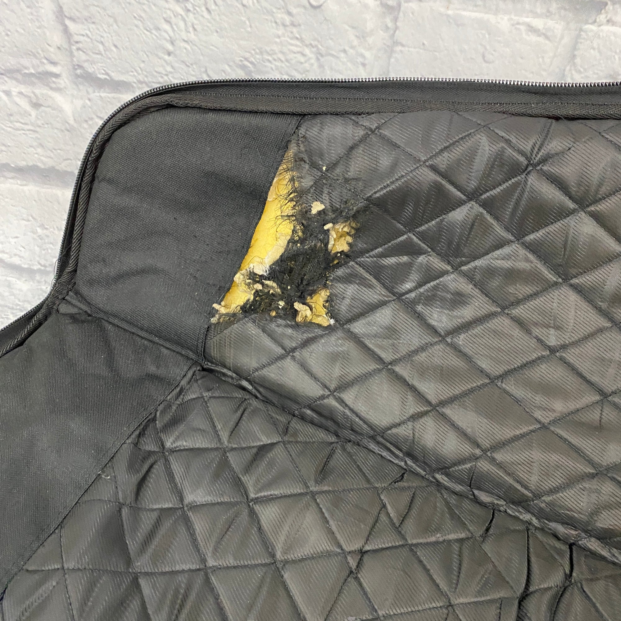 Ritter Electric Gig Bag