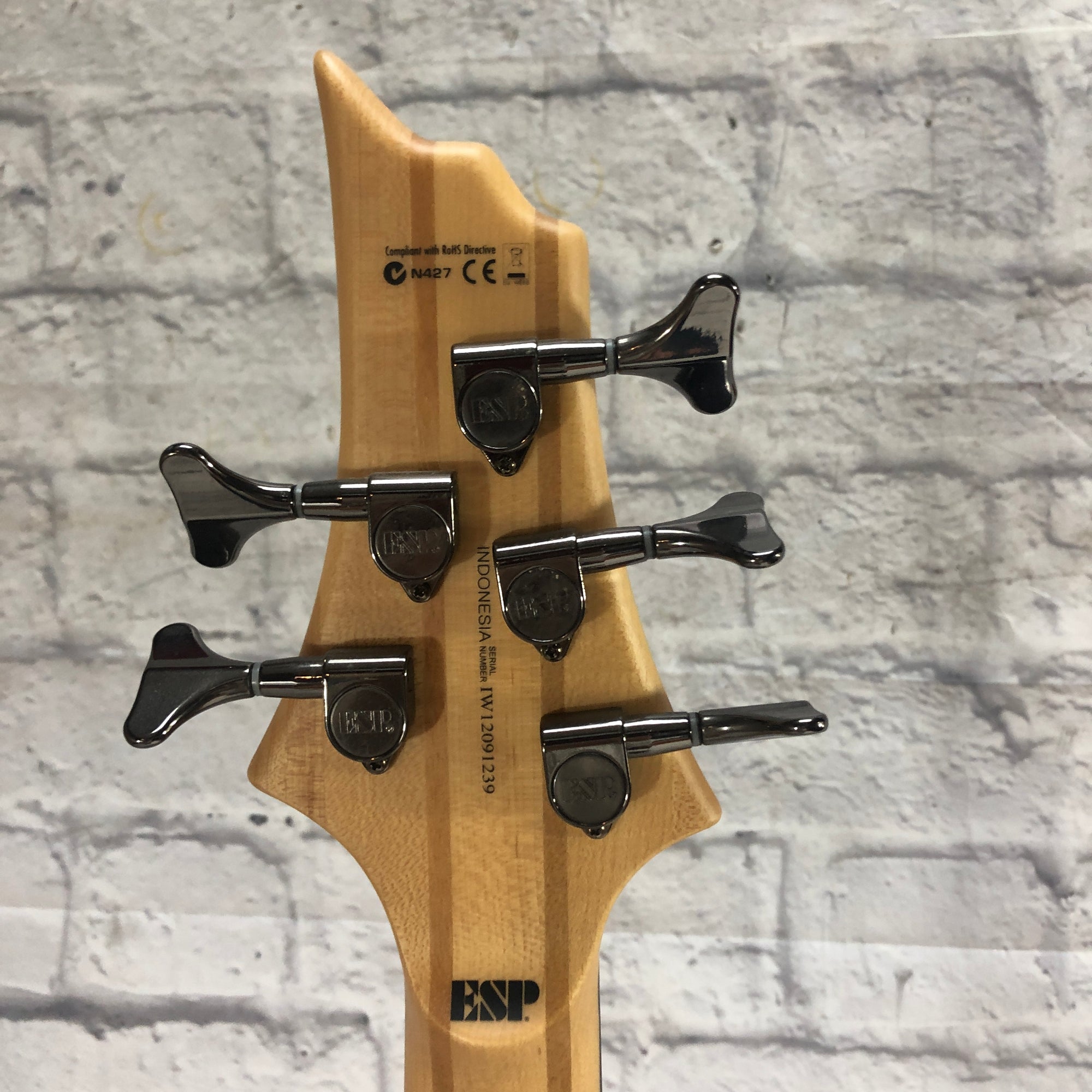 ESP LTD B5E 5-String Bass Guitar