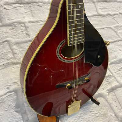 Washburn M-ISDL Mandolin Transparent Red