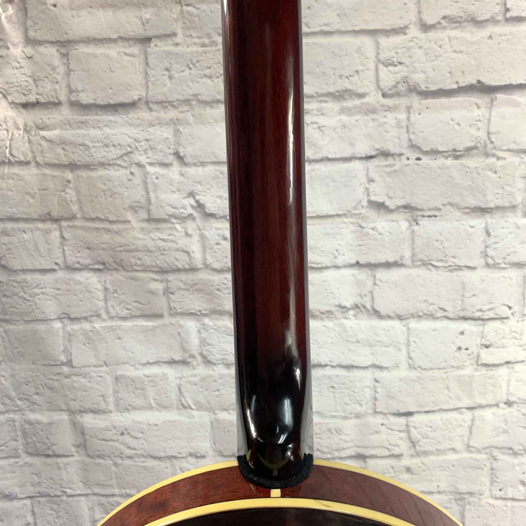 Dean Backwoods 6 String Banjo