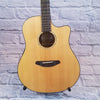 Breedlove Solo Dreadnought Acoustic Guitar with Case - New Old Stock!