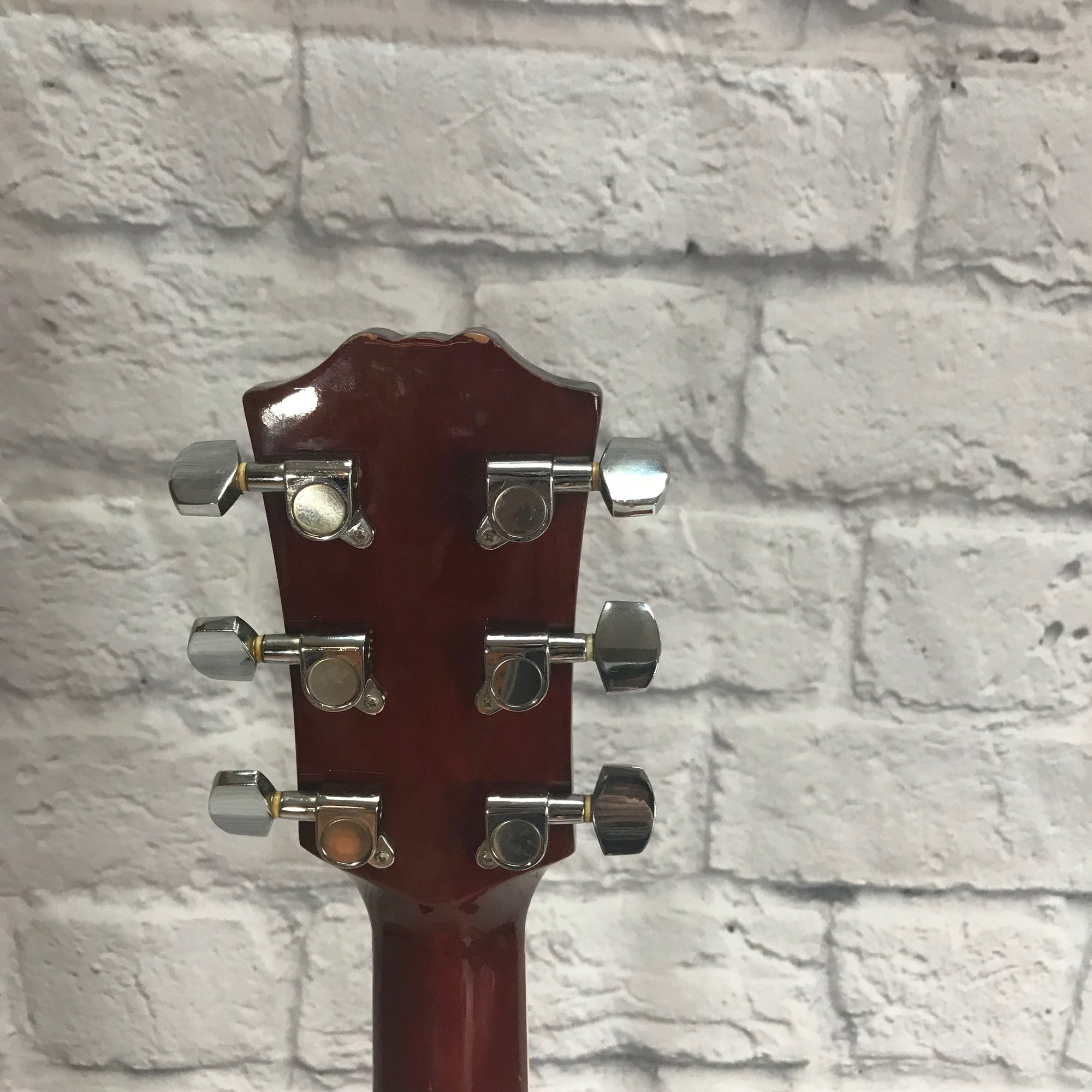 Carlo Robelli CBW410N Acoustic Guitar