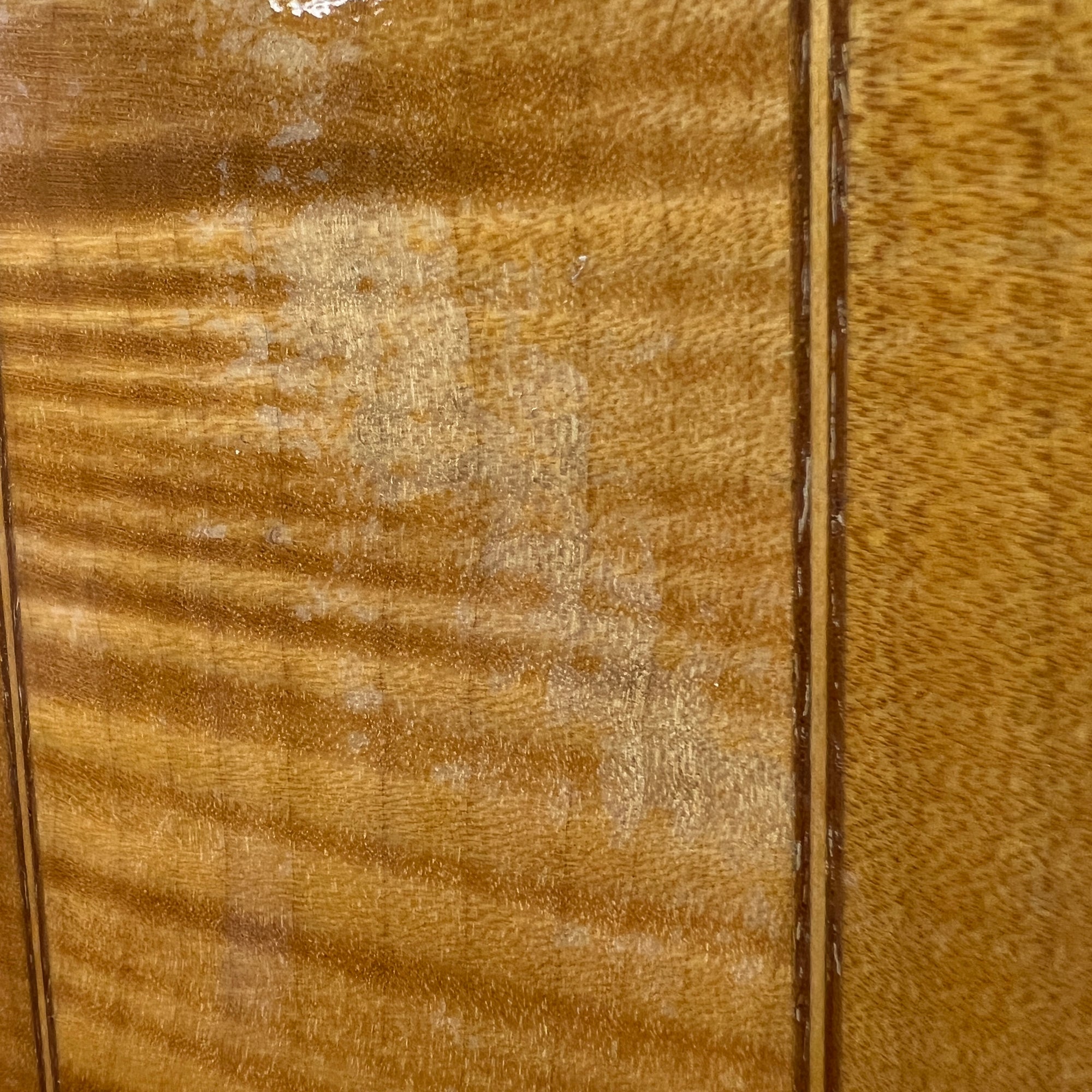 Simon & Patrick S&P SC FLM CW Acoustic Guitar