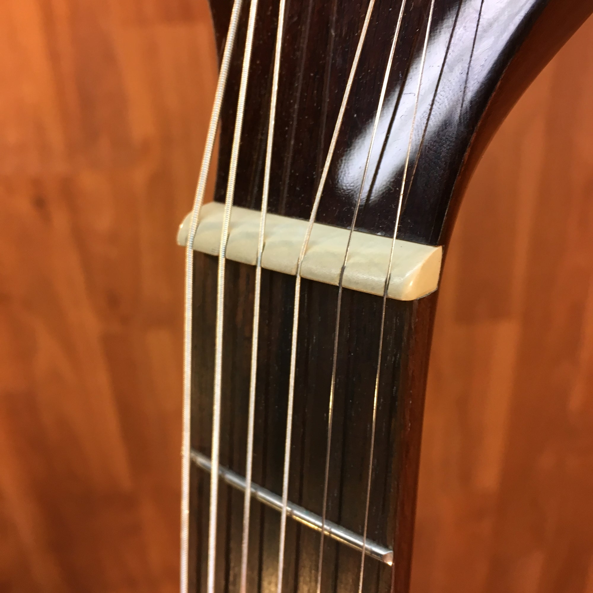 Ibanez AEW40CD-NT Exotic Wood Acoustic-Electric Guitar Natural