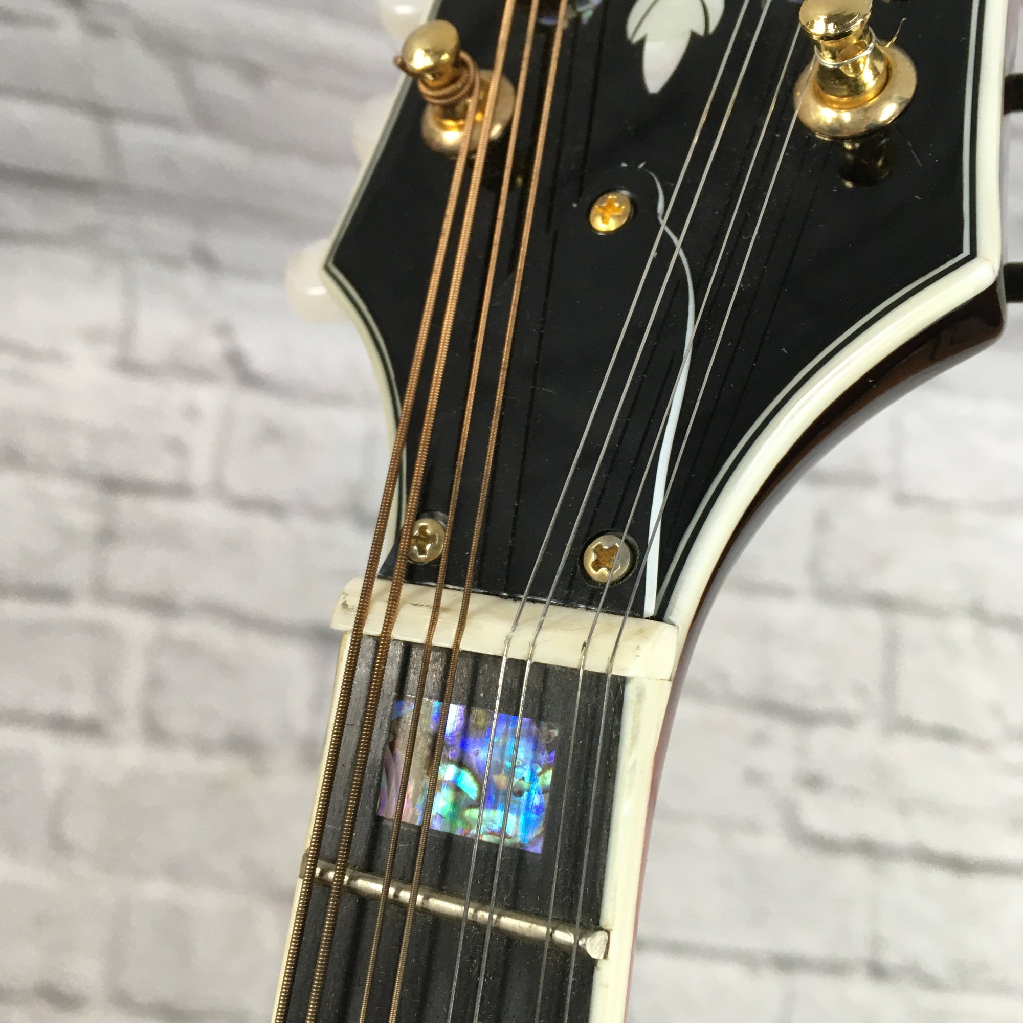 Michael Kelly Mandolin