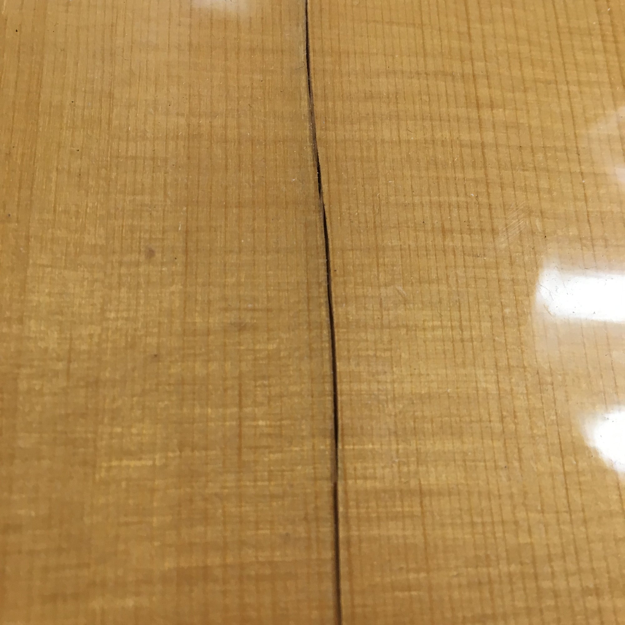 Takamine EG530SC Acoustic Electric Guitar