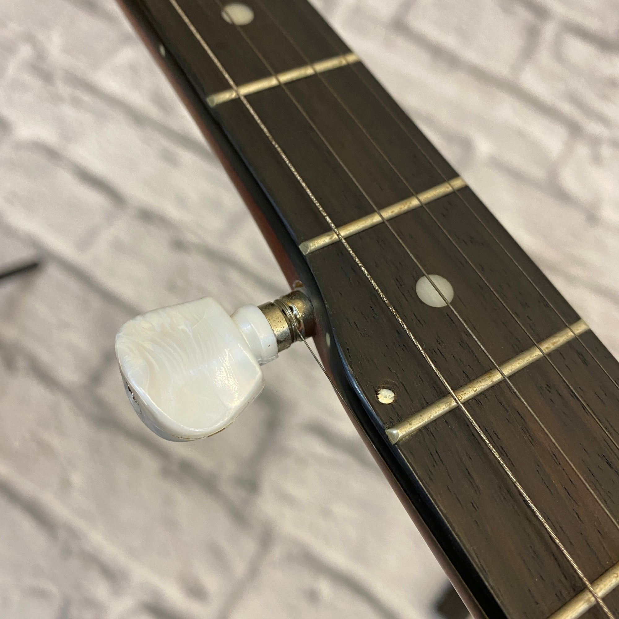 Savannah SB- 100 Mahogany 5-String Banjo
