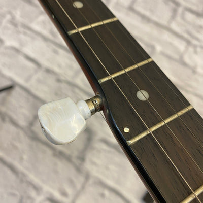 Savannah SB- 100 Mahogany 5-String Banjo