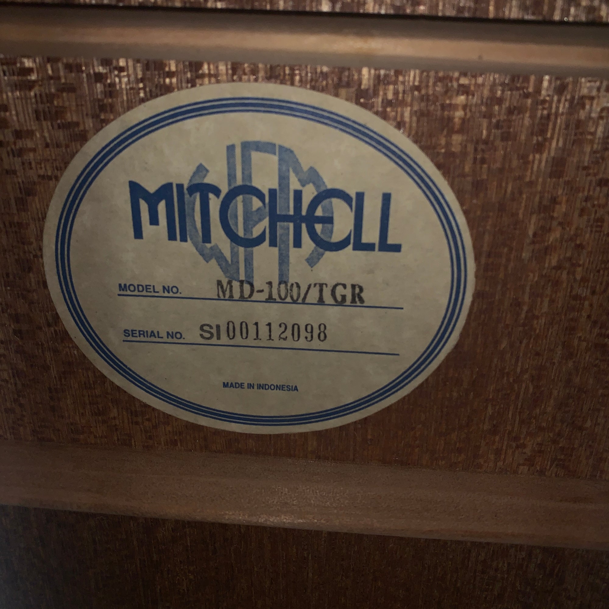 Mitchell MD-100/ TGR Acoustic Guitar