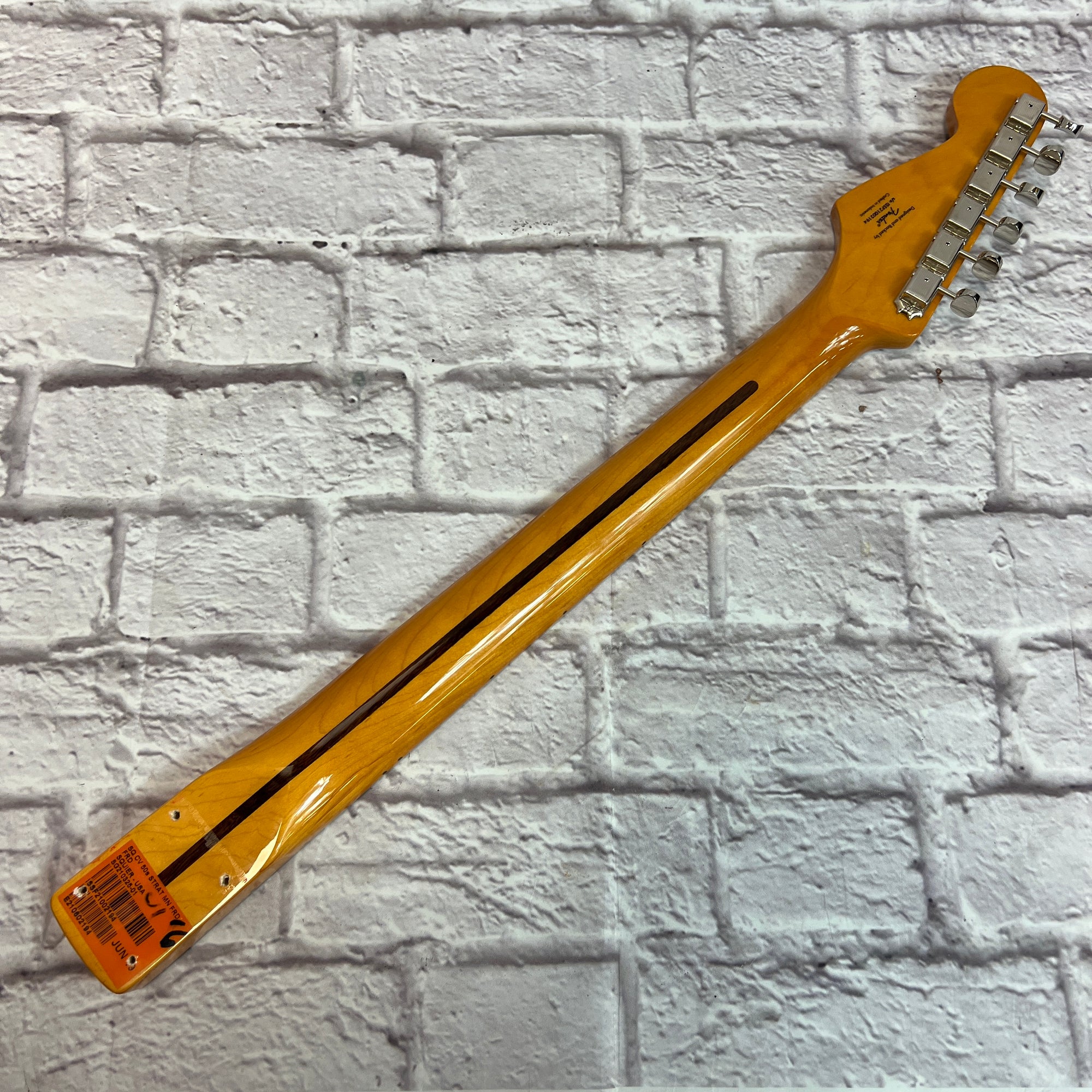 Squier Classic Vibe 50's Stratocaster Maple Neck - Evolution Music