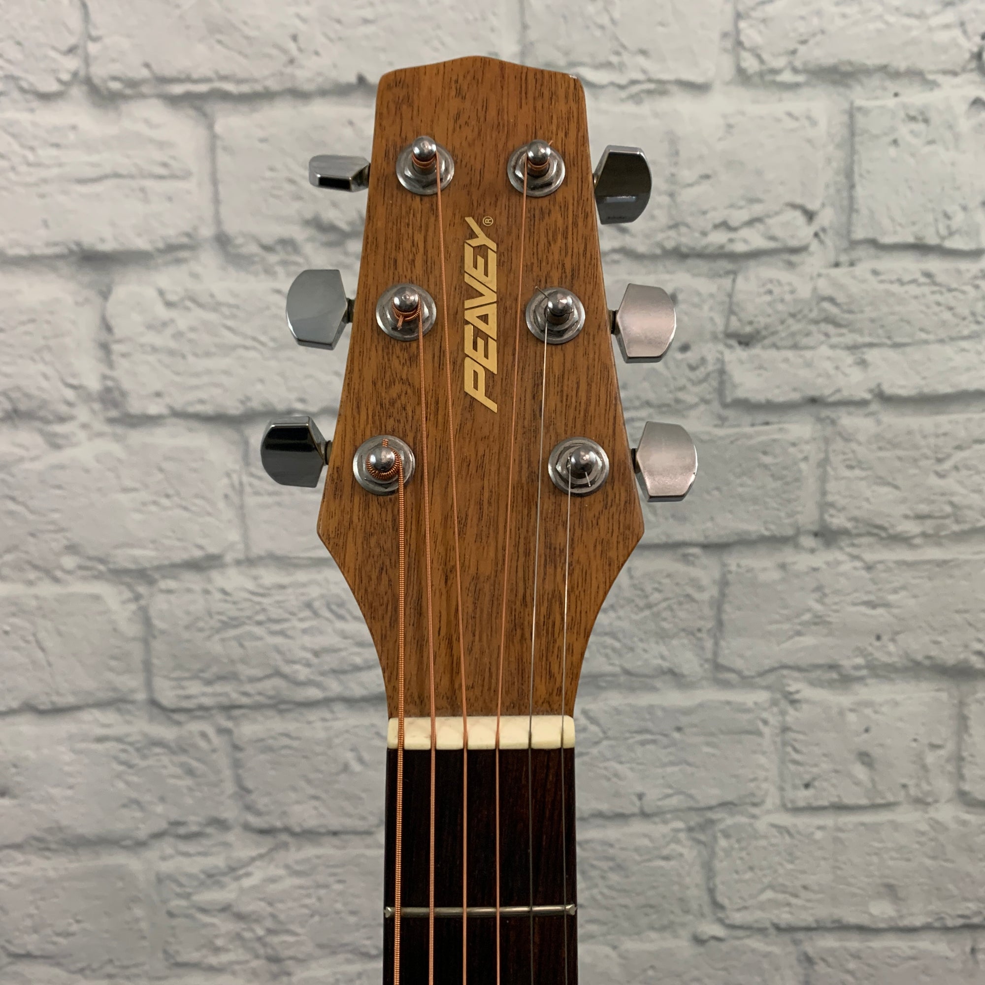 Peavey SD-9P Dreadnought Acoustic Guitar AS IS