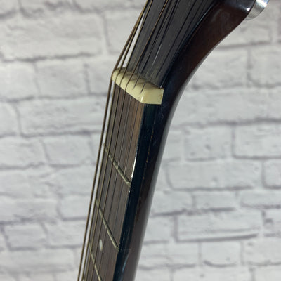 Rogue RA 100D Acoustic Guitar