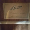 Austin AA45-DEC Acoustic Guitar